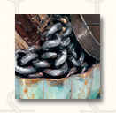 Penny Lane - art for Los Angeles Times