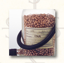 Race Factor - Artwork for Los Angeles Times